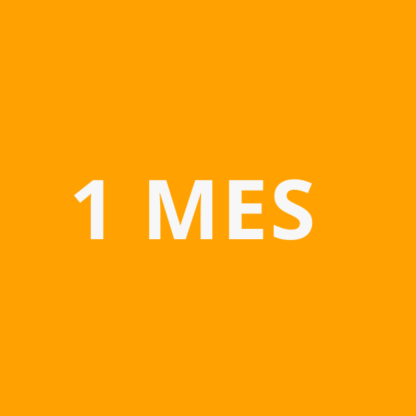 1 Mes