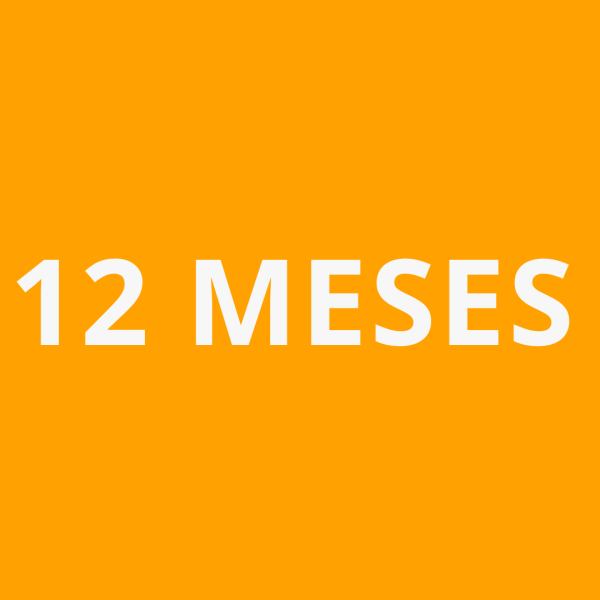 12 Meses